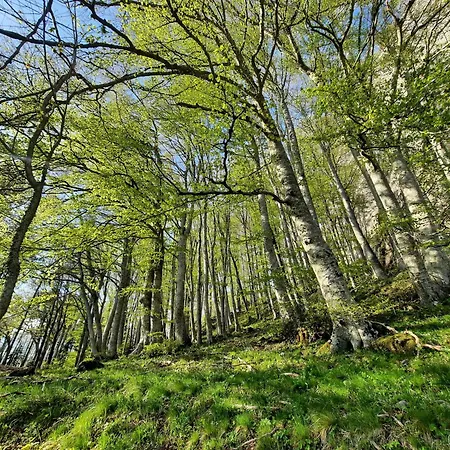 Ristoro La Verna, In Affitto *
