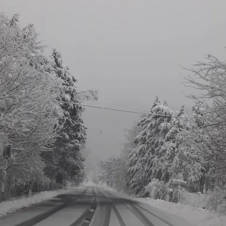 Ristoro La Verna, In Affitto Apartment *